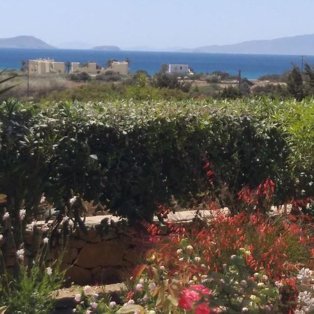 Haus Asterakia Διαμέρισμα Παραλία Αλικό Εξωτερικό φωτογραφία