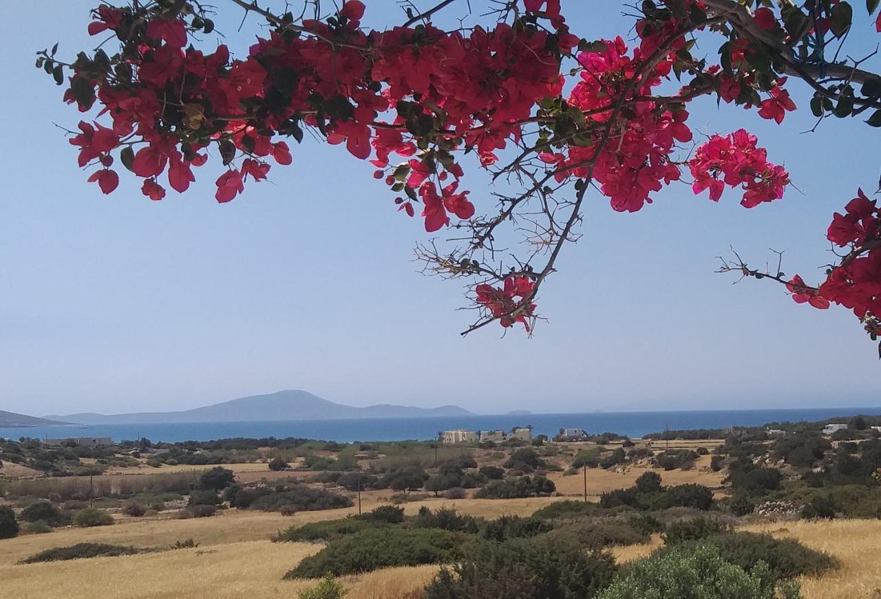 Haus Asterakia Διαμέρισμα Παραλία Αλικό Εξωτερικό φωτογραφία