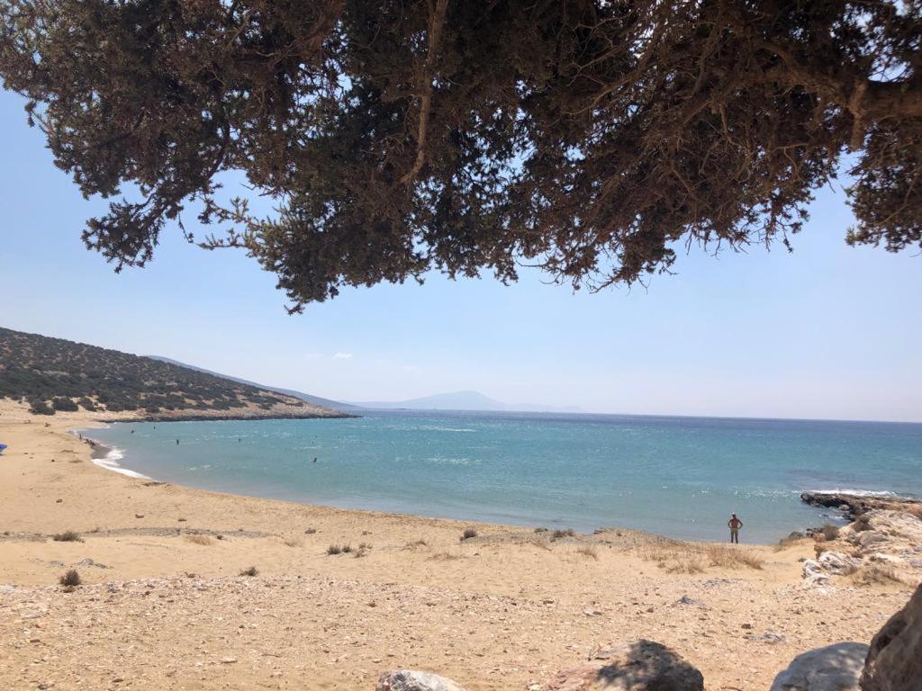 Haus Asterakia Διαμέρισμα Παραλία Αλικό Εξωτερικό φωτογραφία