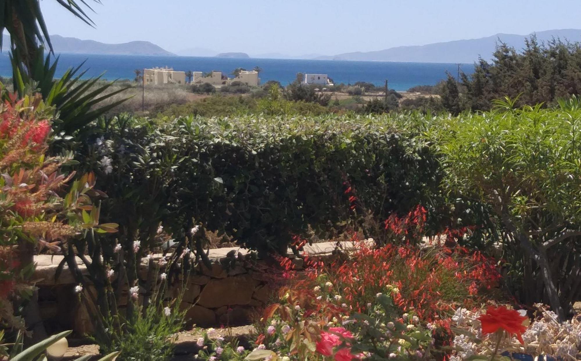 Haus Asterakia Διαμέρισμα Παραλία Αλικό Εξωτερικό φωτογραφία