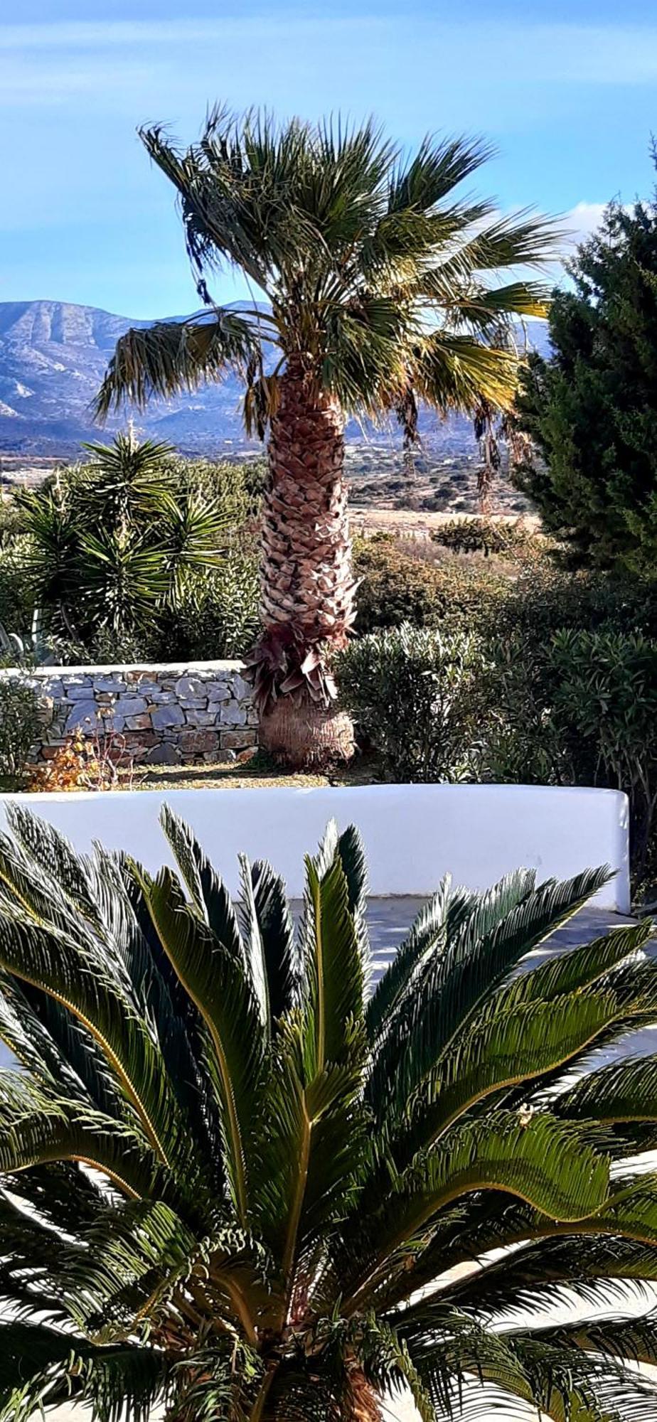 Haus Asterakia Διαμέρισμα Παραλία Αλικό Εξωτερικό φωτογραφία