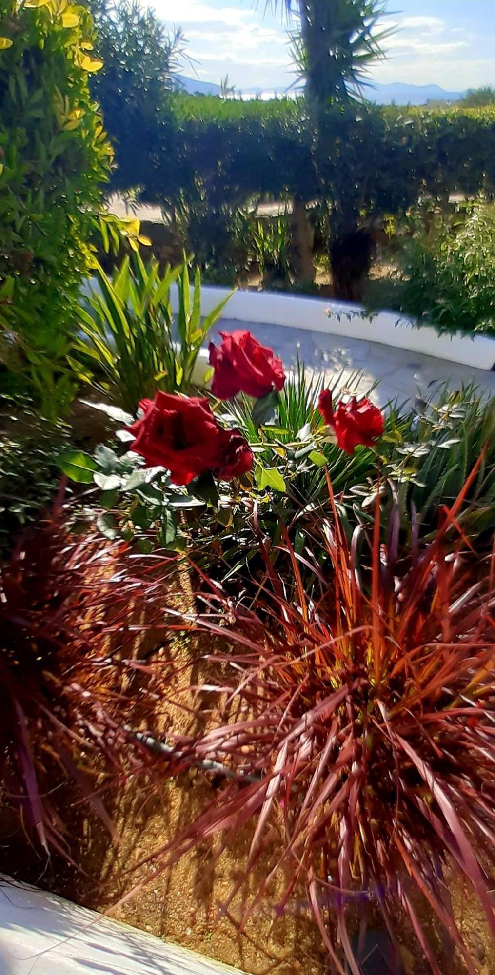Haus Asterakia Διαμέρισμα Παραλία Αλικό Εξωτερικό φωτογραφία