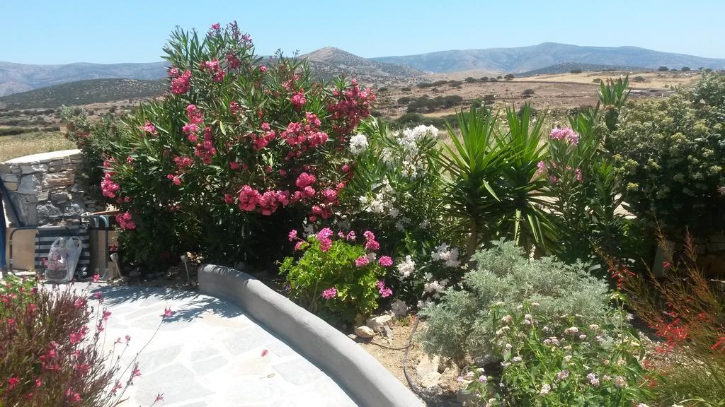 Haus Asterakia Διαμέρισμα Παραλία Αλικό Εξωτερικό φωτογραφία